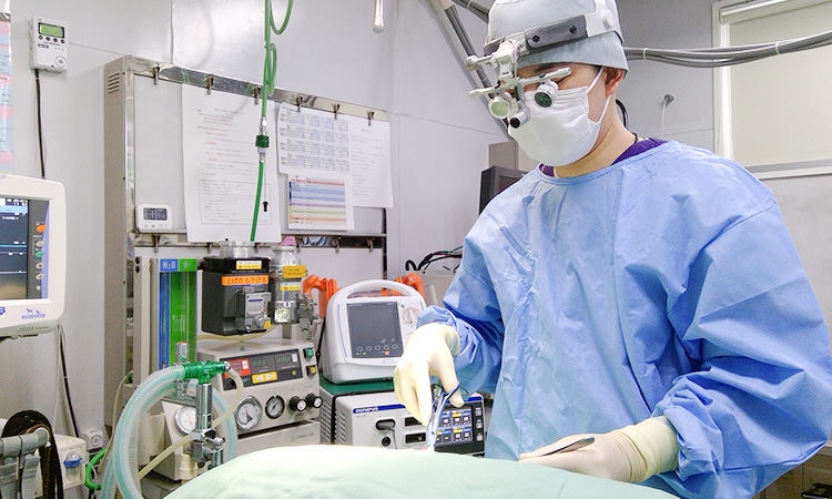 腫瘍の診断・治療
