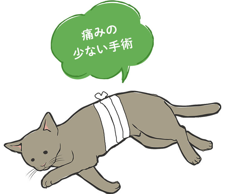痛みの少ない手術、エリザベスカラーの必要なし