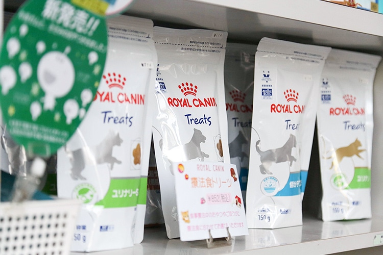 フード販売